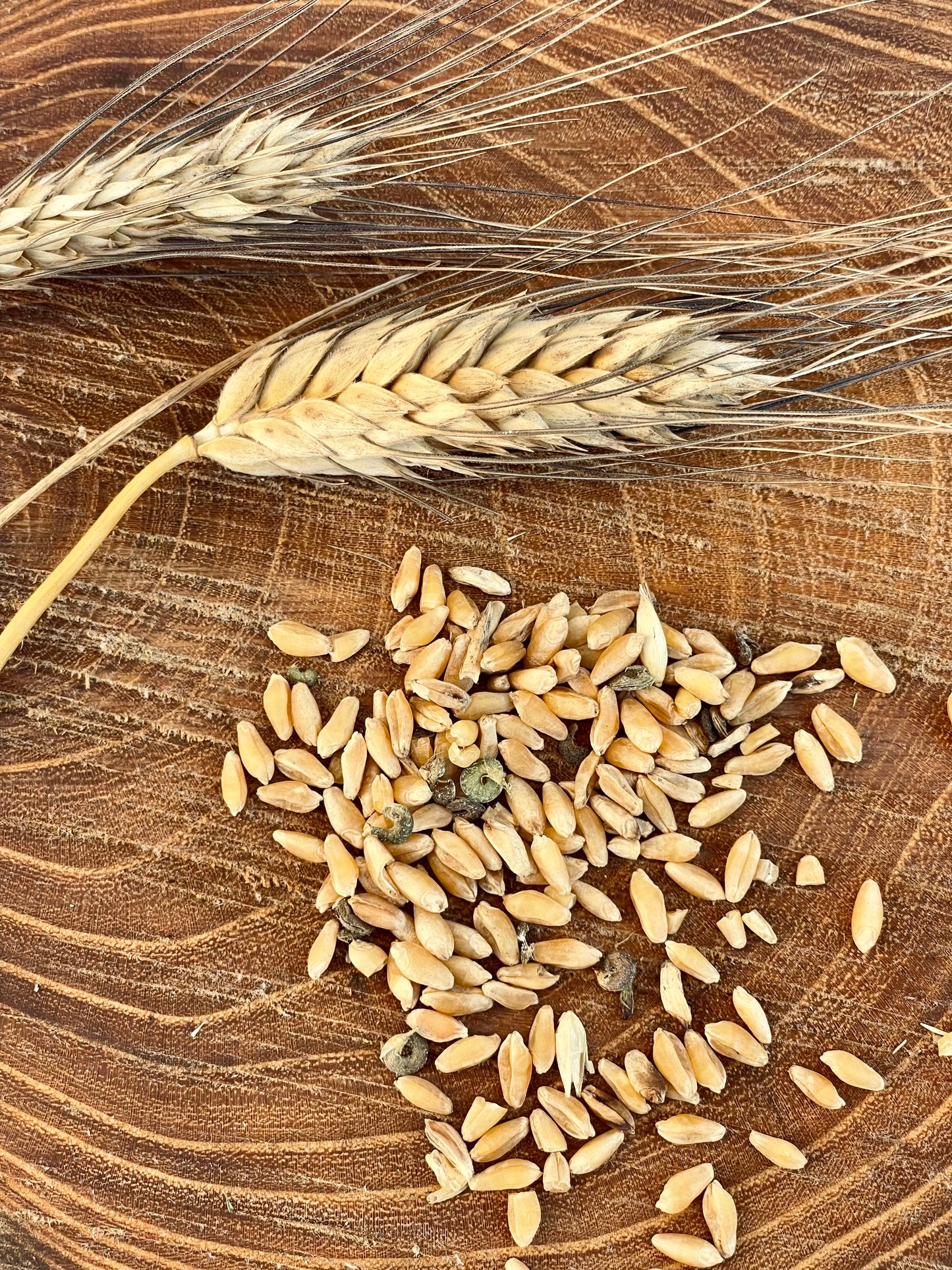 Farina di grano tenero 2