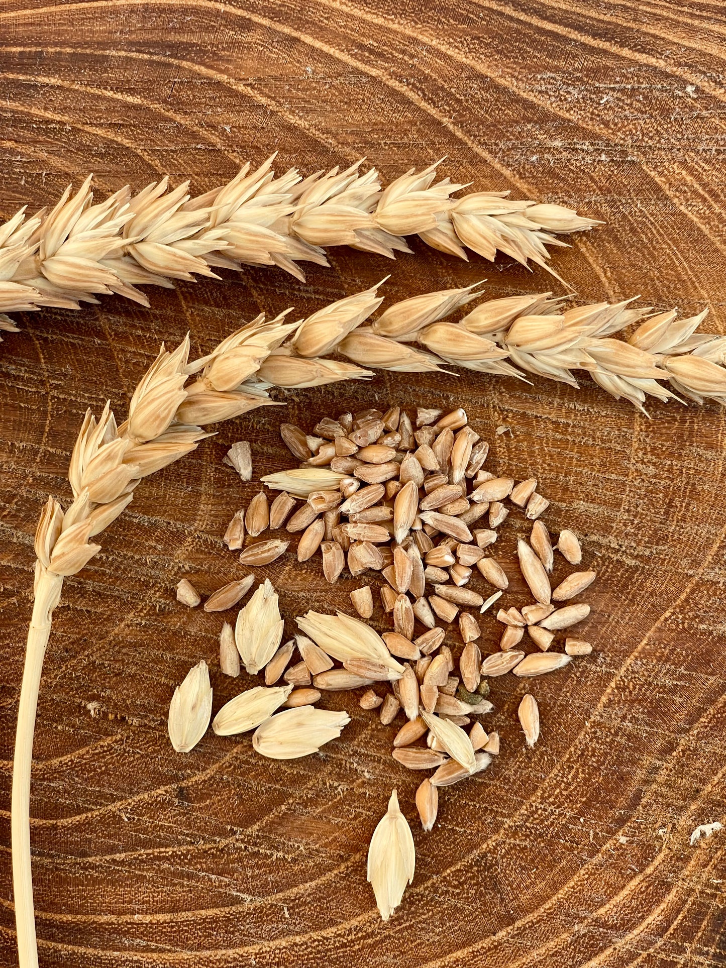 Farina di farro integrale
