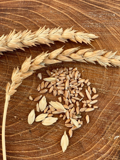 Farina di farro integrale