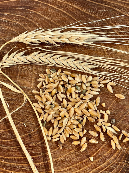 Casarecce di semola di grano duro